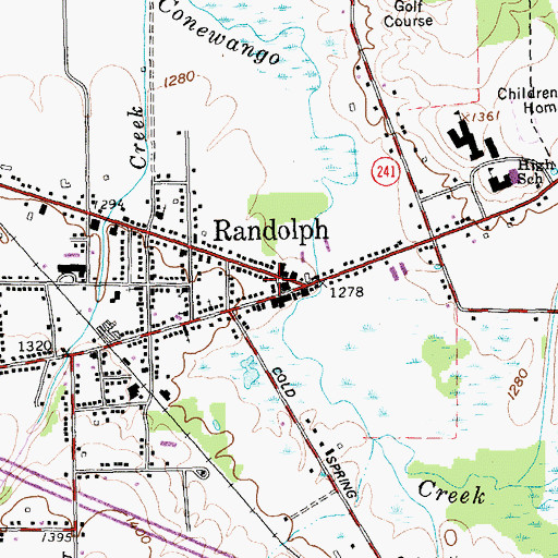 Topographic Map of Randolph Village Offices, NY
