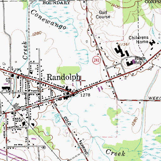 Topographic Map of Randolph Fire Department, NY