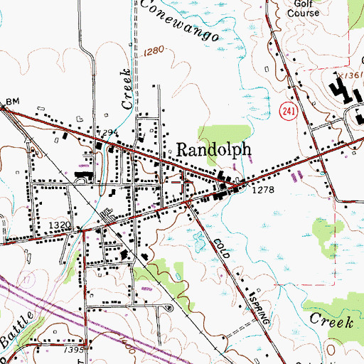 Topographic Map of School Street Building Randolph Central School (historical), NY