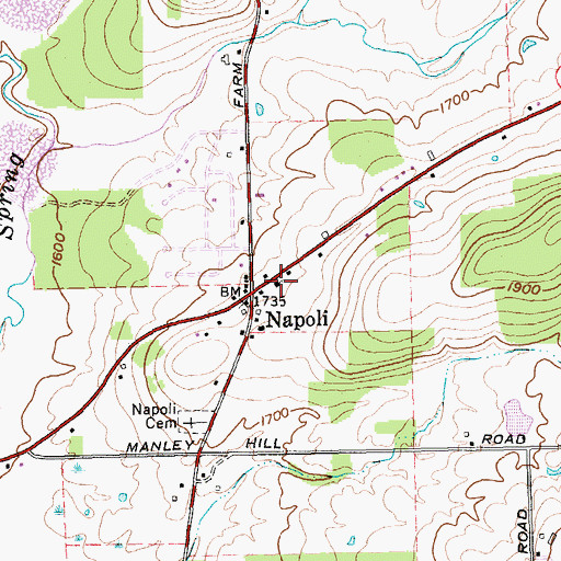 Topographic Map of Napoli United Methodist Church, NY