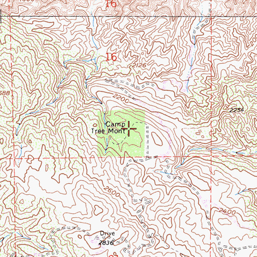 Topographic Map of Camp Tree Mont, CA