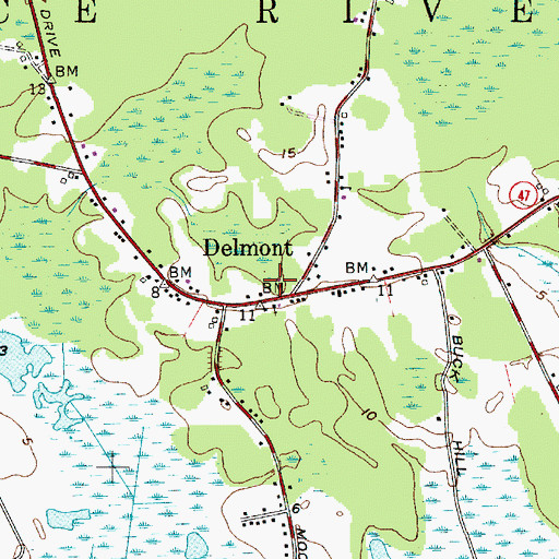 Topographic Map of Delmont Post Office, NJ