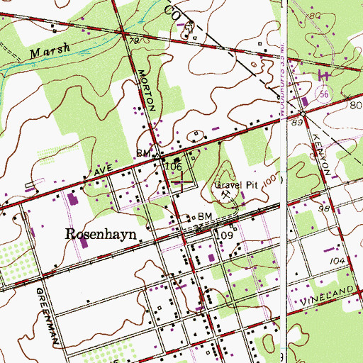 Topographic Map of Rosenhayn Fire and Rescue, NJ