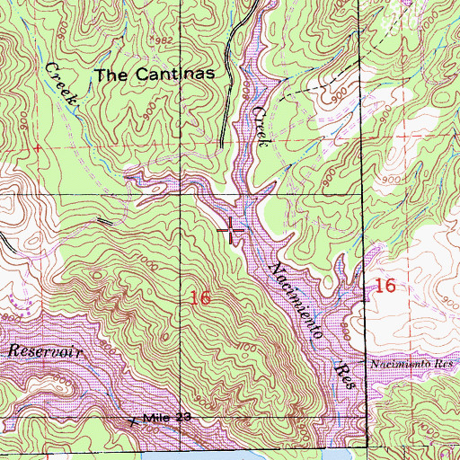 Topographic Map of Cantinas Creek, CA