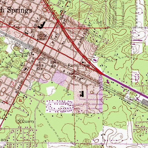 Topographic Map of Allen Chapel, FL