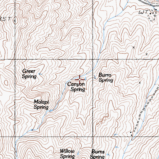Topographic Map of Canyon Spring, CA