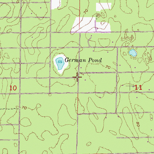 Topographic Map of East Bronson Census Designated Place, FL