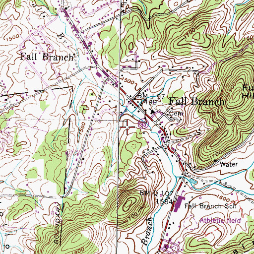 Topographic Map of Fall Branch Census Designated Place, TN