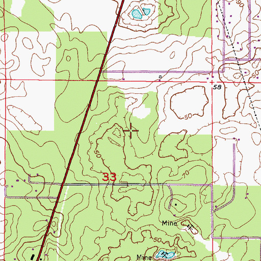 Topographic Map of Floral City Census Designated Place, FL