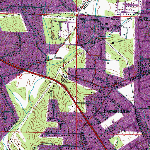 Topographic Map of Forestdale Census Designated Place, AL