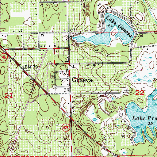 Topographic Map of Geneva Census Designated Place, FL