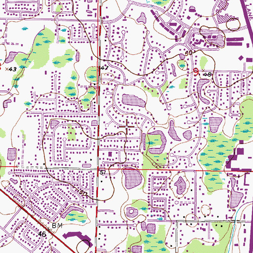 Topographic Map of Carrollwood Census Designated Place, FL