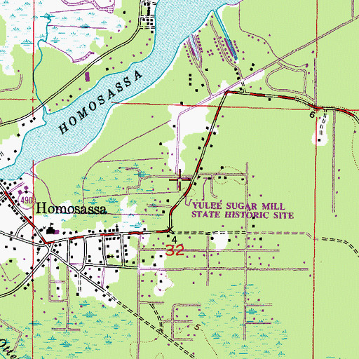 Topographic Map of Homosassa Census Designated Place, FL