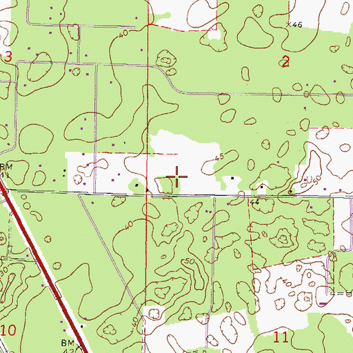 Topographic Map of Andrews Census Designated Place, FL