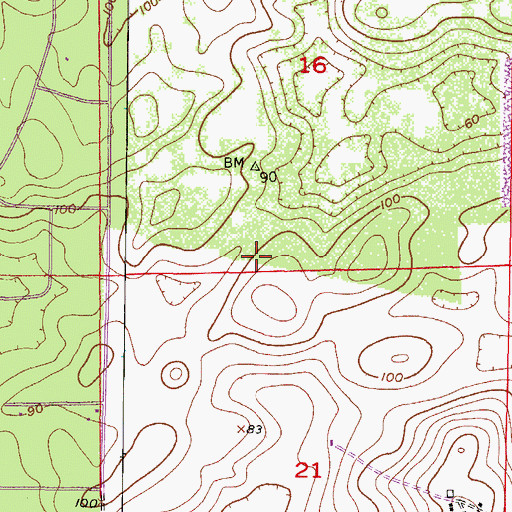 Topographic Map of Black Diamond Census Designated Place, FL