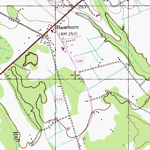 Topographic Map of Bowmore Census Designated Place, NC