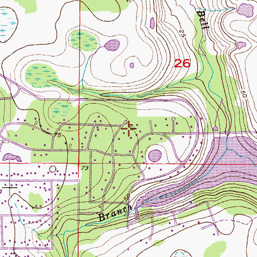 Topographic Map of Boyette Census Designated Place, FL
