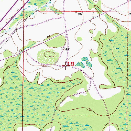 Topographic Map of Celebration Census Designated Place, FL
