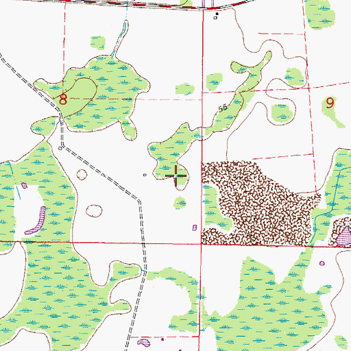 Topographic Map of Cheval Census Designated Place, FL