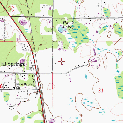 Topographic Map of Crystal Springs Census Designated Place, FL