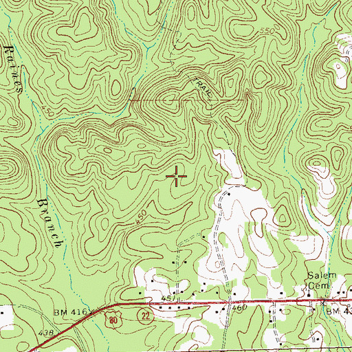 Topographic Map of Salem Census Designated Place, GA