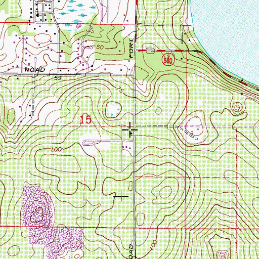 Topographic Map of Thonotosassa Census Designated Place, FL