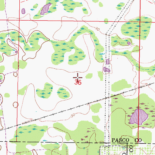 Topographic Map of Trinity Census Designated Place, FL