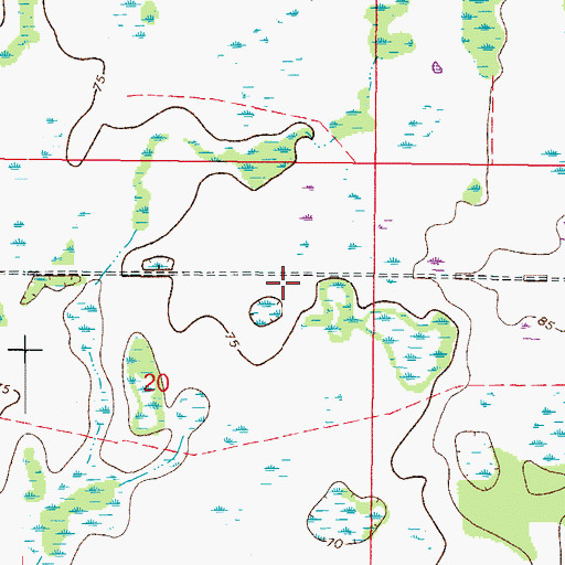 Topographic Map of Wesley Chapel Census Designated Place, FL