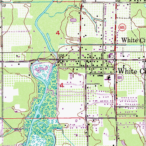 Topographic Map of White City Census Designated Place, FL
