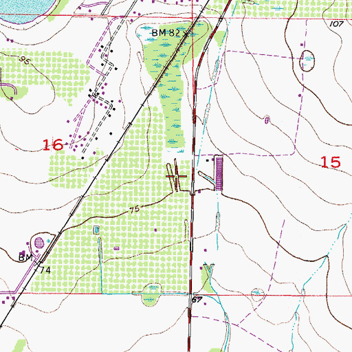 Topographic Map of Wimauma Census Designated Place, FL