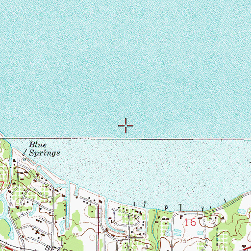 Topographic Map of Yalaha Census Designated Place, FL