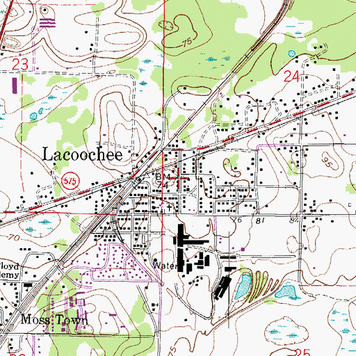 Topographic Map of Lacoochee Census Designated Place, FL