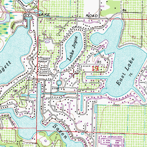 Topographic Map of Land O' Lakes Census Designated Place, FL