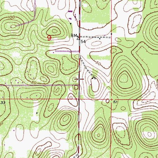 Topographic Map of Lecanto Census Designated Place, FL