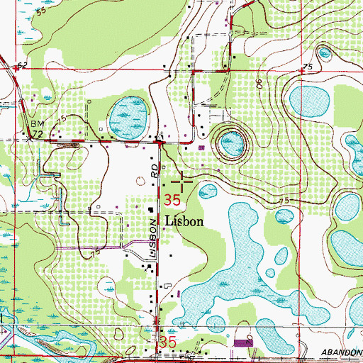 Topographic Map of Lisbon Census Designated Place, FL