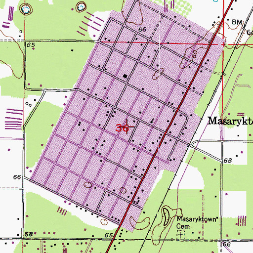 Topographic Map of Masaryktown Census Designated Place, FL