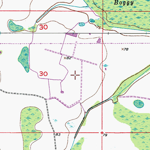 Topographic Map of Meadow Woods Census Designated Place, FL