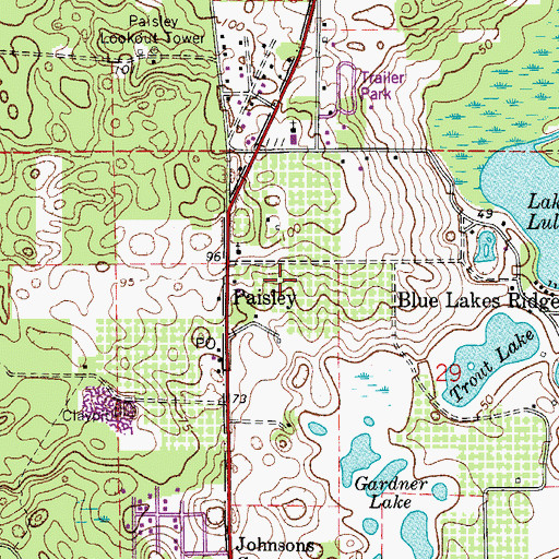 Topographic Map of Paisley Census Designated Place, FL