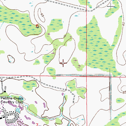 Topographic Map of Pebble Creek Census Designated Place, FL
