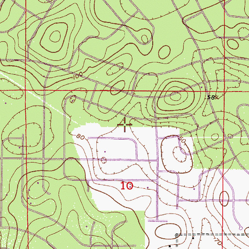 Topographic Map of Pine Ridge Census Designated Place, FL