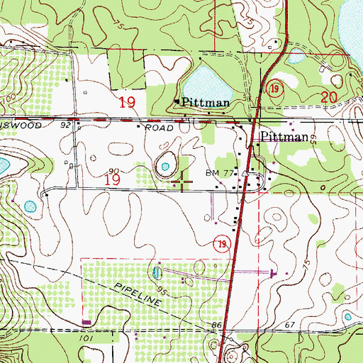 Topographic Map of Pittman Census Designated Place, FL