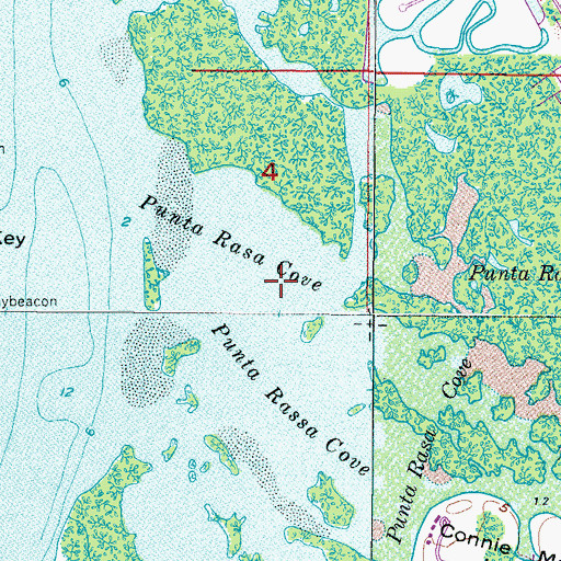 Topographic Map of Punta Rassa Census Designated Place, FL