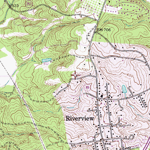Topographic Map of Riverview Census Designated Place, SC