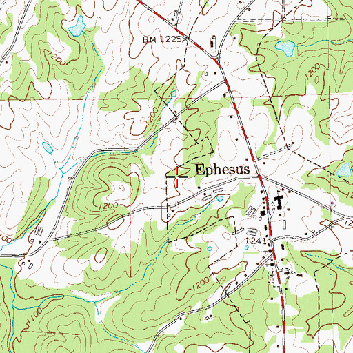 Topographic Map of City of Ephesus, GA