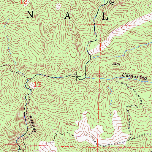 Topographic Map of Catharina Creek, CA