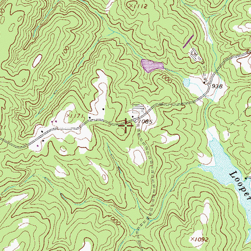 Topographic Map of City of Flowery Branch, GA