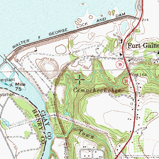 Topographic Map of City of Fort Gaines, GA