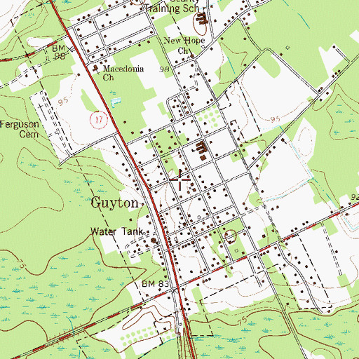Topographic Map of City of Guyton, GA