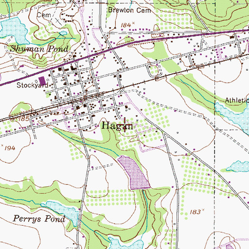 Topographic Map of City of Hagan, GA