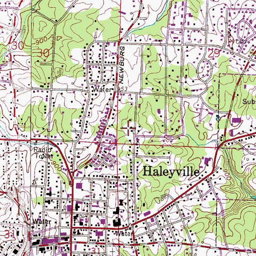Topographic Map of City of Haleyville, AL